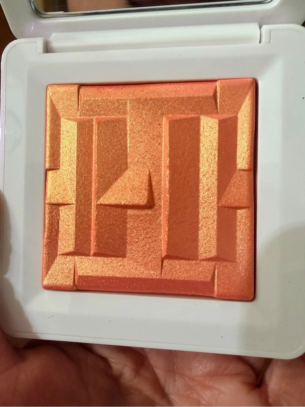 HAUS LABS Bio-Radiant Gel-Powder Illuminating Highlighter with Fermented Arnica